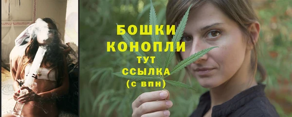 прущие грибы Волоколамск