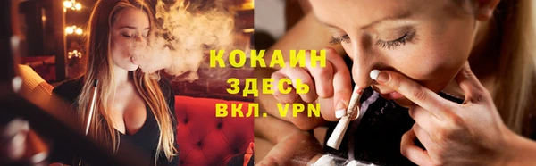 прущие грибы Волоколамск