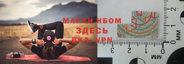 прущие грибы Волоколамск