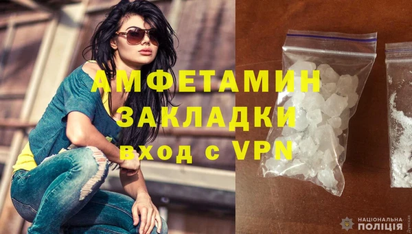 прущие грибы Волоколамск