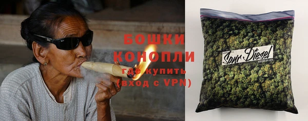 прущие грибы Волоколамск