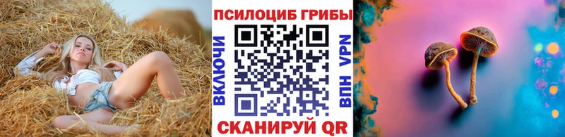 Галлюциногенные грибы Psilocybine cubensis  где купить наркоту  Ильский 